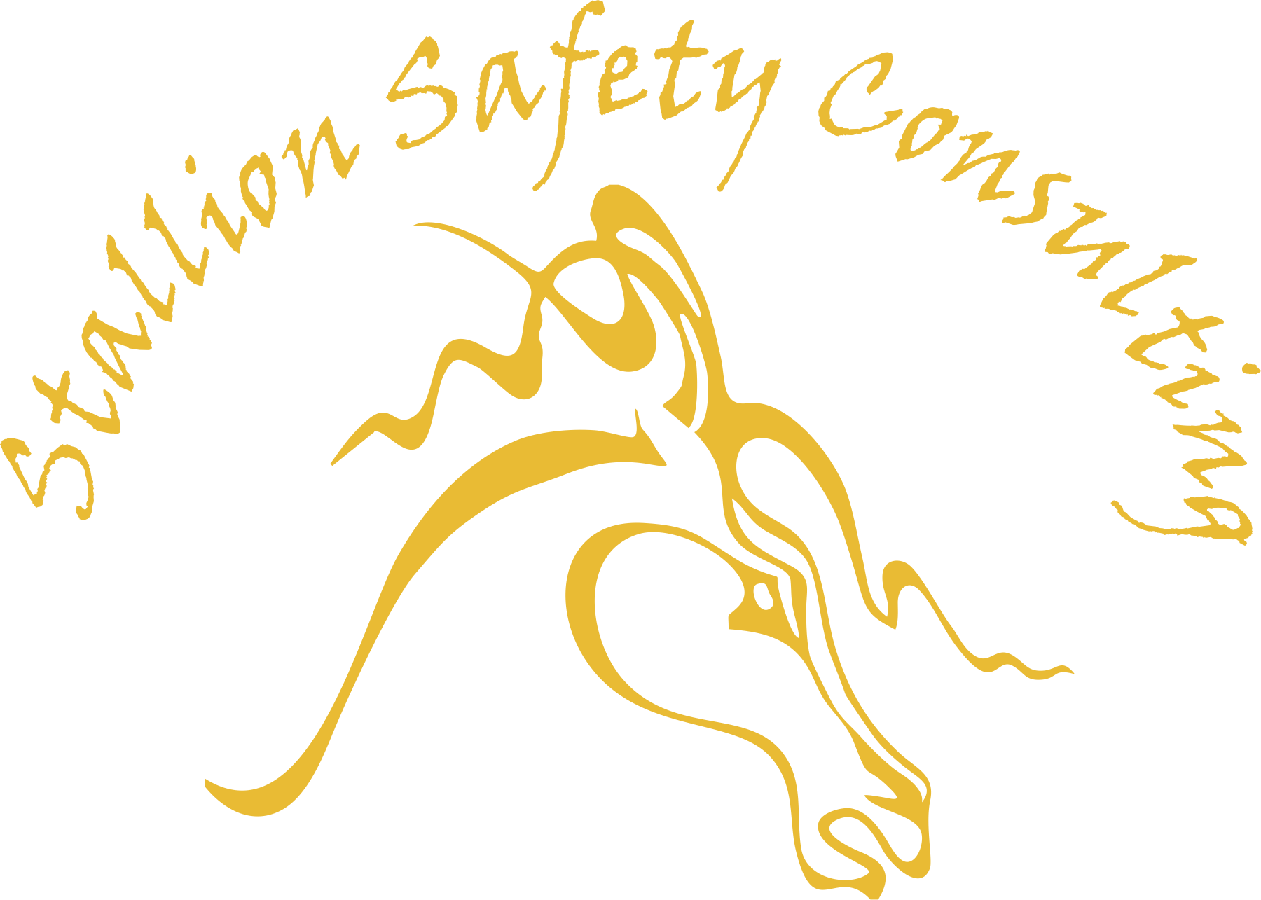 Stallion Safety, Training & Swag
