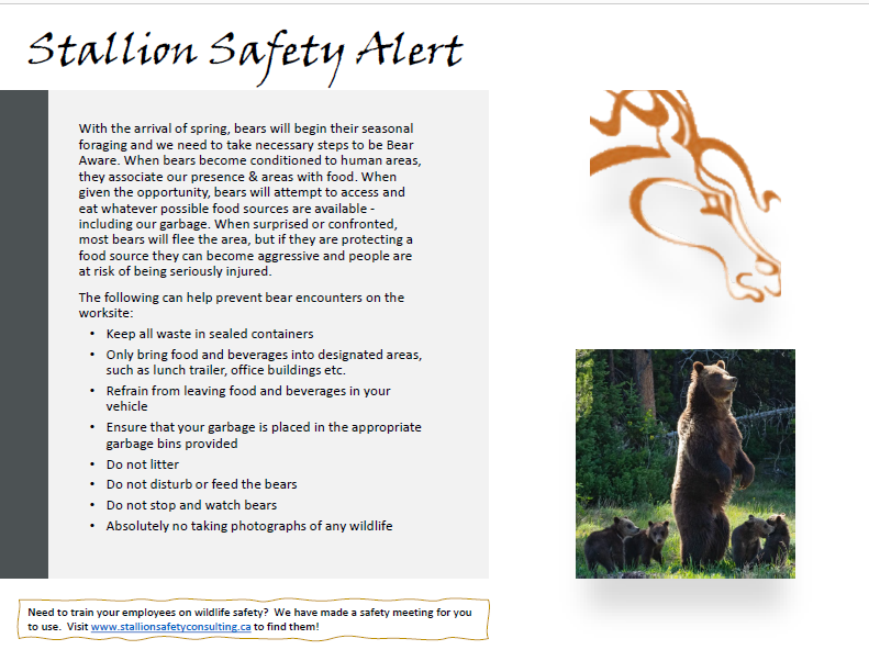 Bear Awareness