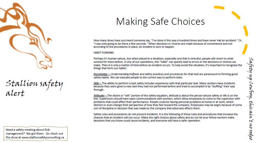Making Safe Choices