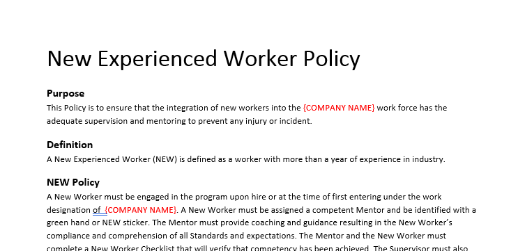 New to Site Experience Workers Mentorship Program