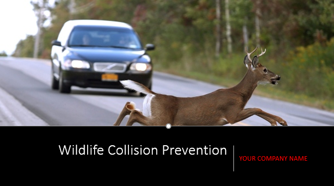 Wildlife Collision Prevention