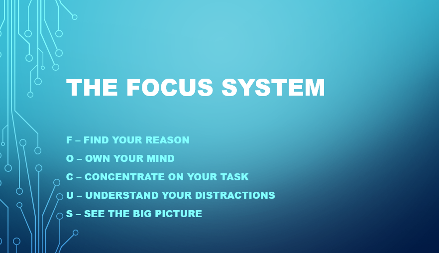 The Focus System – Stallion Safety, Training & Swag